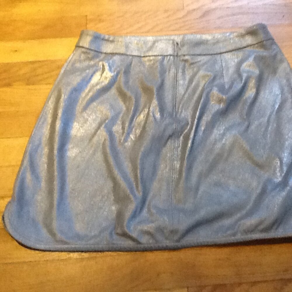 Gorgeous Silver Skirt